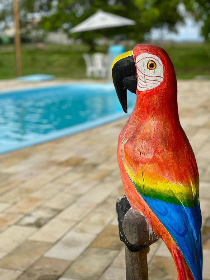 Prive Caraibas * Porto de Galinhas